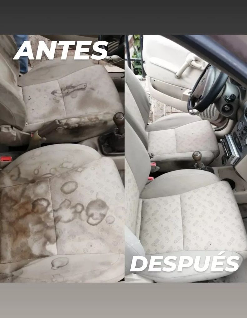 BIO-Shampoo Limpia Tapiz y Alfombras / Desmanchador -2