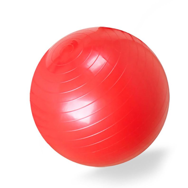 Balon De Ejercicio Con Bombin 75 Cm-Blunding-1