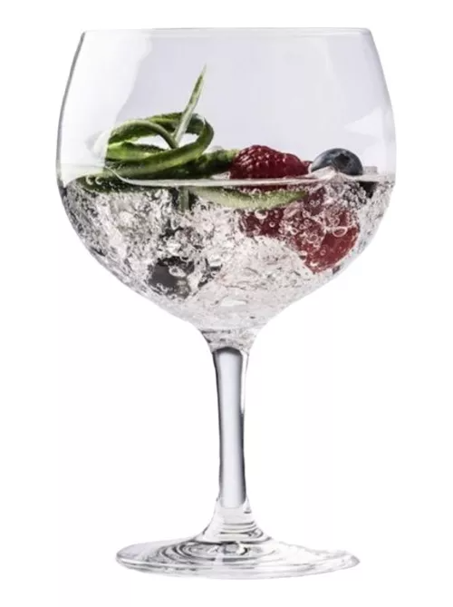 Juego 6 Copas Gin Tonic Schott Zwiesel - Bar Especial-2