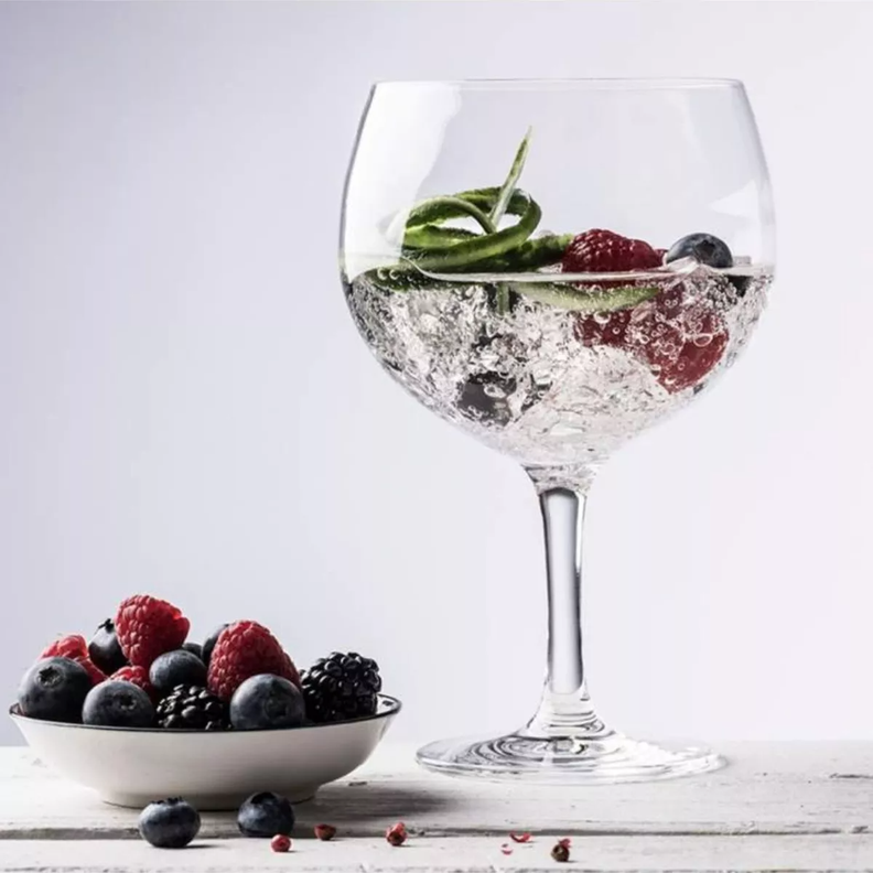 Juego 6 Copas Gin Tonic Schott Zwiesel - Bar Especial-3