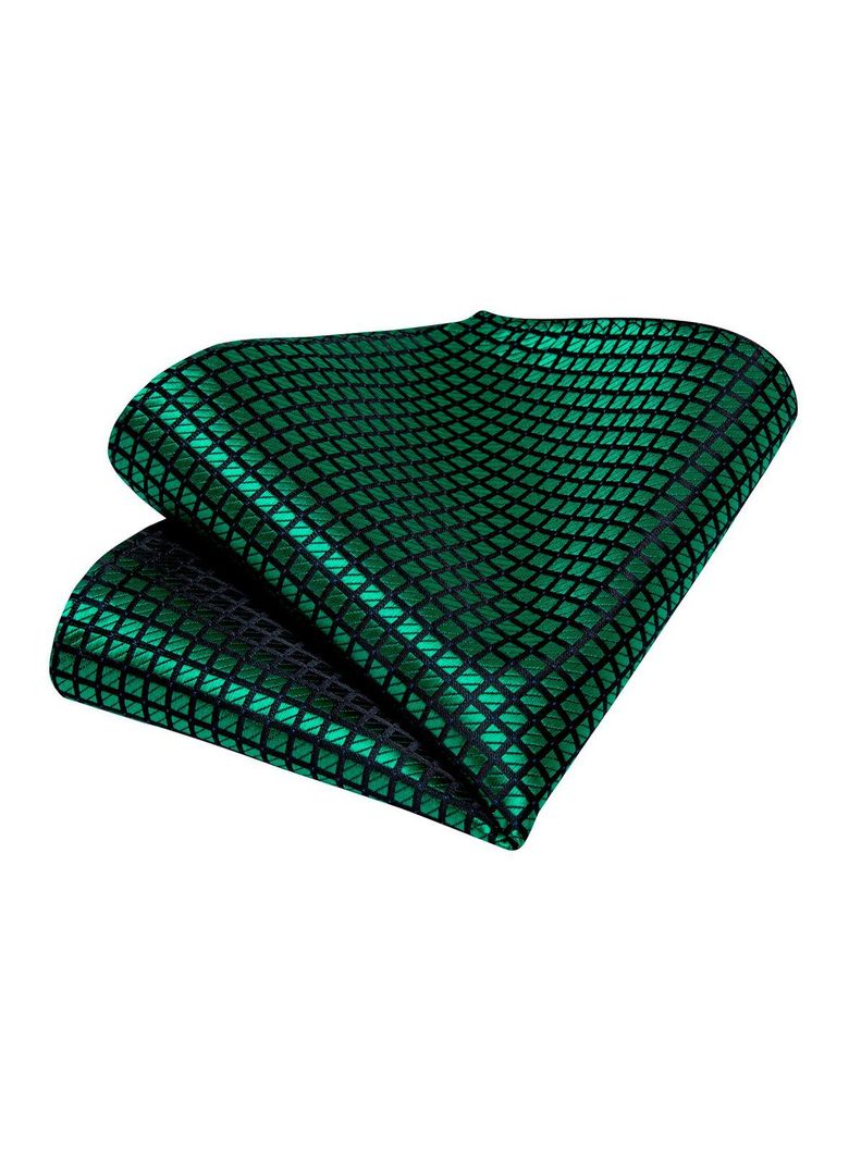 Set Corbata + Paño + Collera formal hombre. Modelo Reptile-3