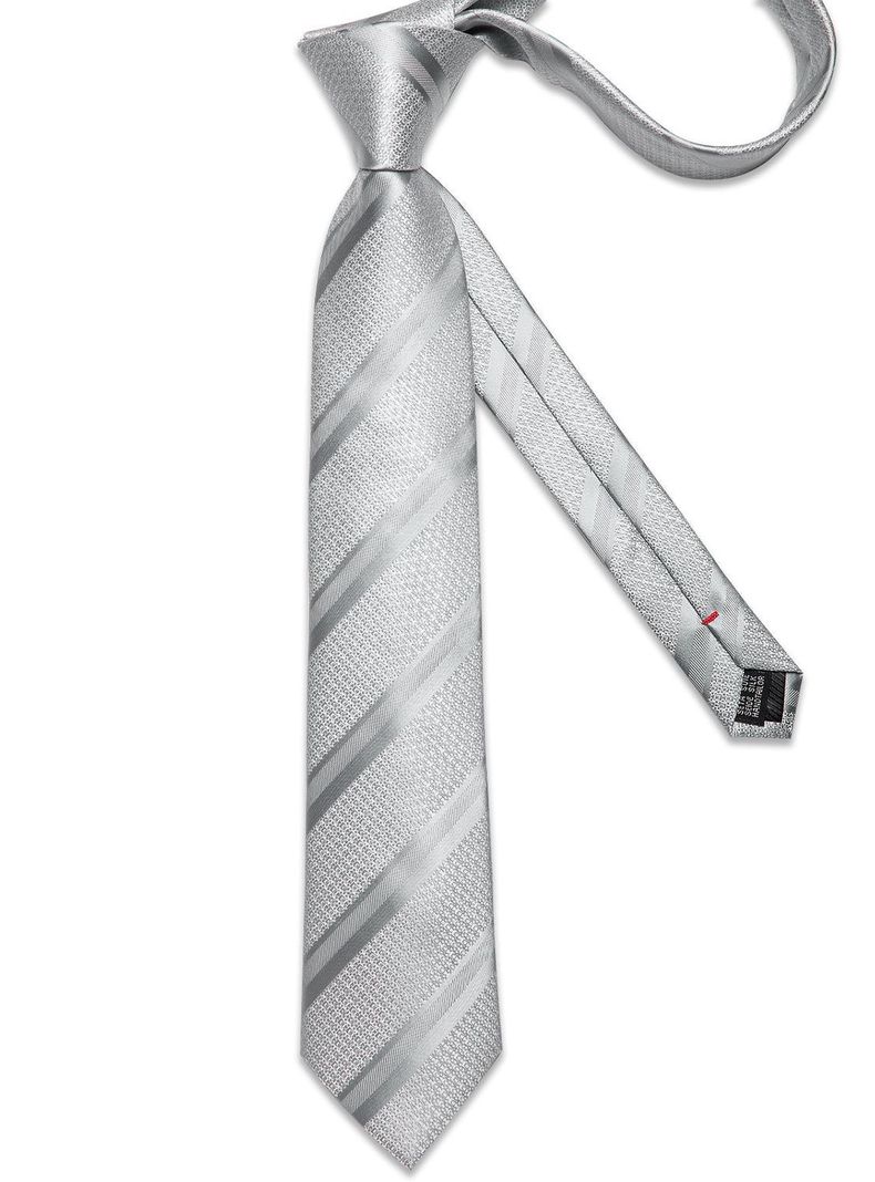 Corbata plateada Hombre Seda con paño y colleras. Modelo Plateado Metálico-5