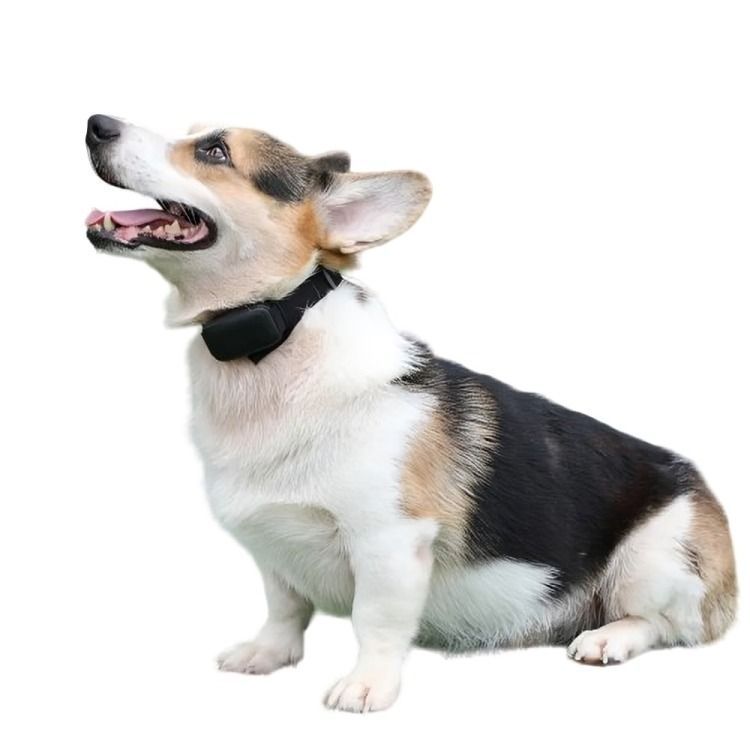 Collar Eléctrico Antiladridos Para Perro Mascotas-1
