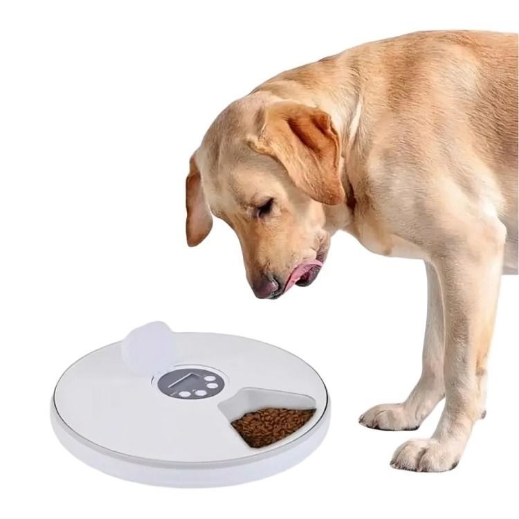 Dispensador De Alimento Automático Perros Gatos.-1