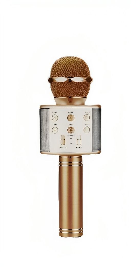 MICROFONO KARAOKE-0