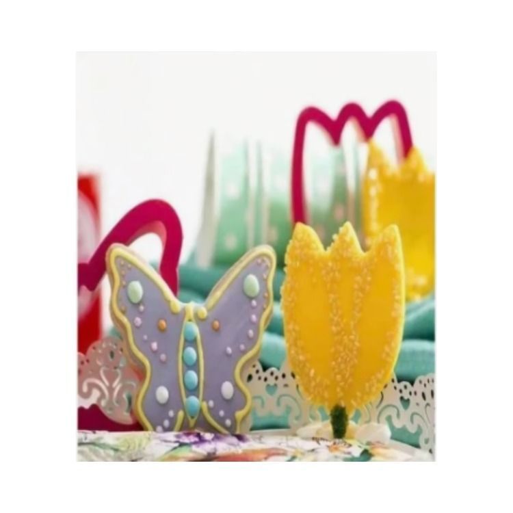 SET 2 PACK MOLDE DE CORTE GALLETAS  MARIPOSA ROSA-1