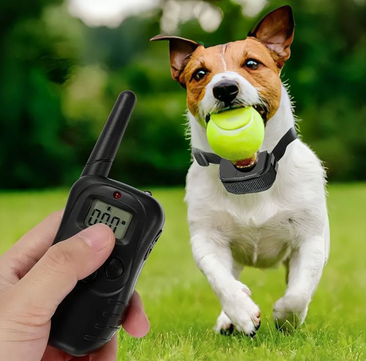 Collar Eléctrico Entrenamiento Para Adiestramiento Perros-2