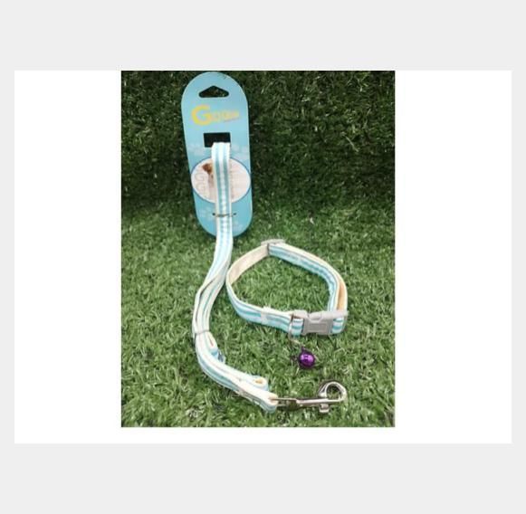 Collar con correa 1.5cm-1