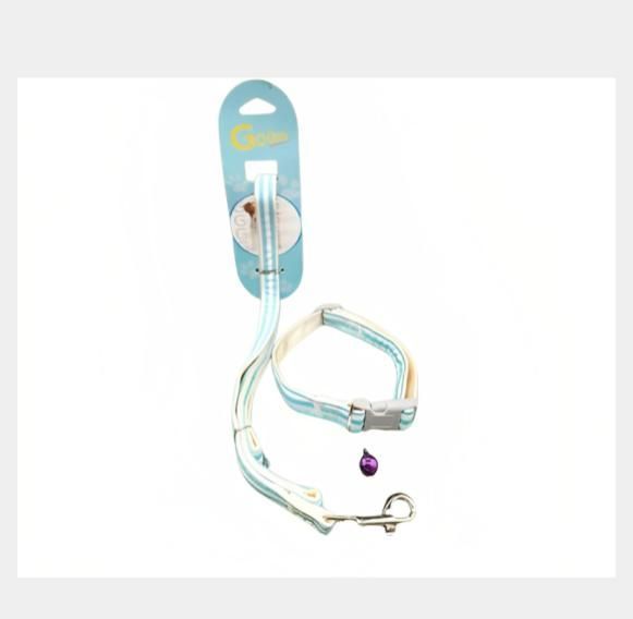 Collar con correa 1.5cm-0