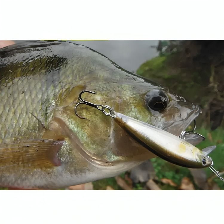 Pack 10 Señuelos Pesca Rapala 7.2cm -2