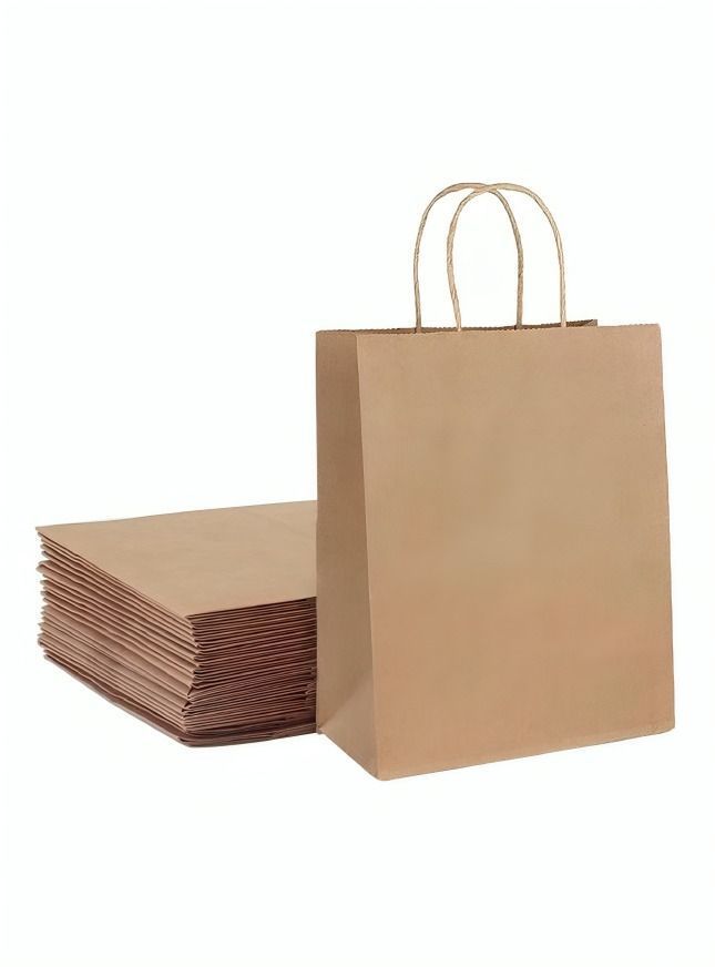 Bolsas Papel Kraft 12 Unidades 15x21x8cm-0