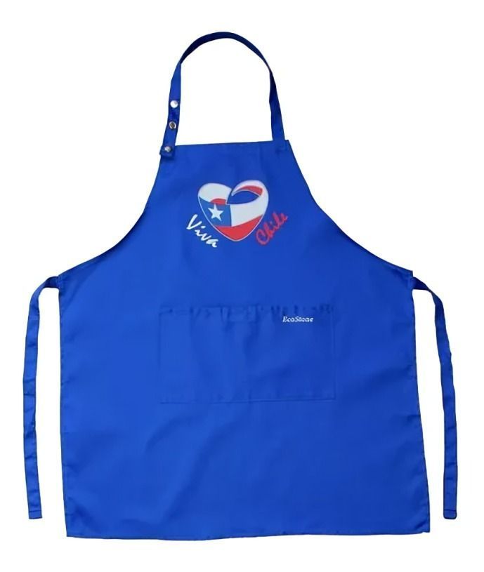 Pechera Viva Chile-0