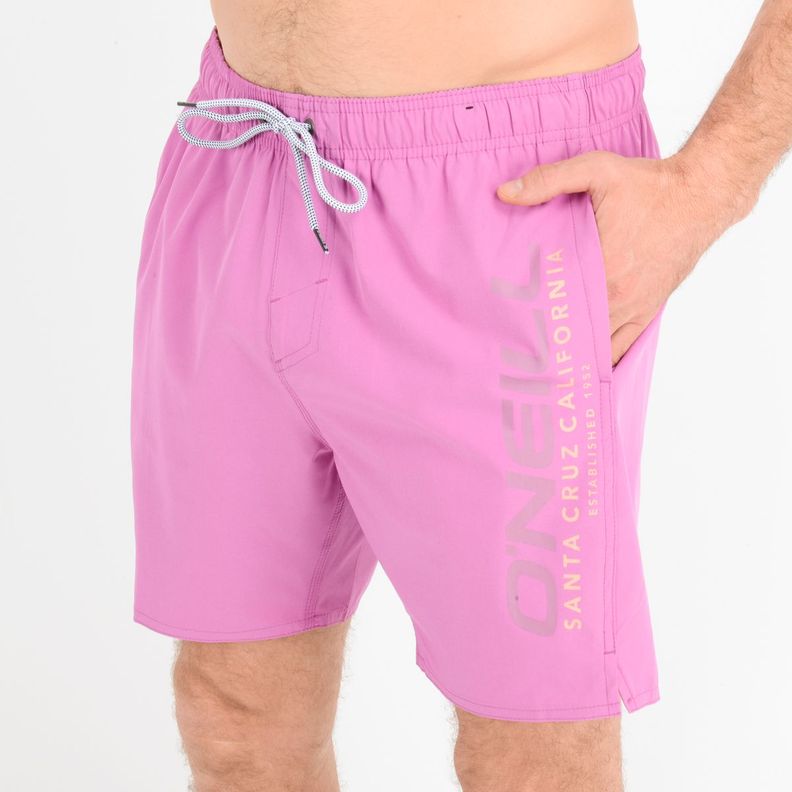 BOARDSHORT STAPLE  MORADO-4