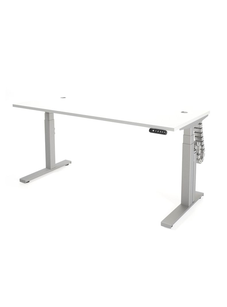 Escritorio Eléctrico Standing Desk 160x70cm AE-0