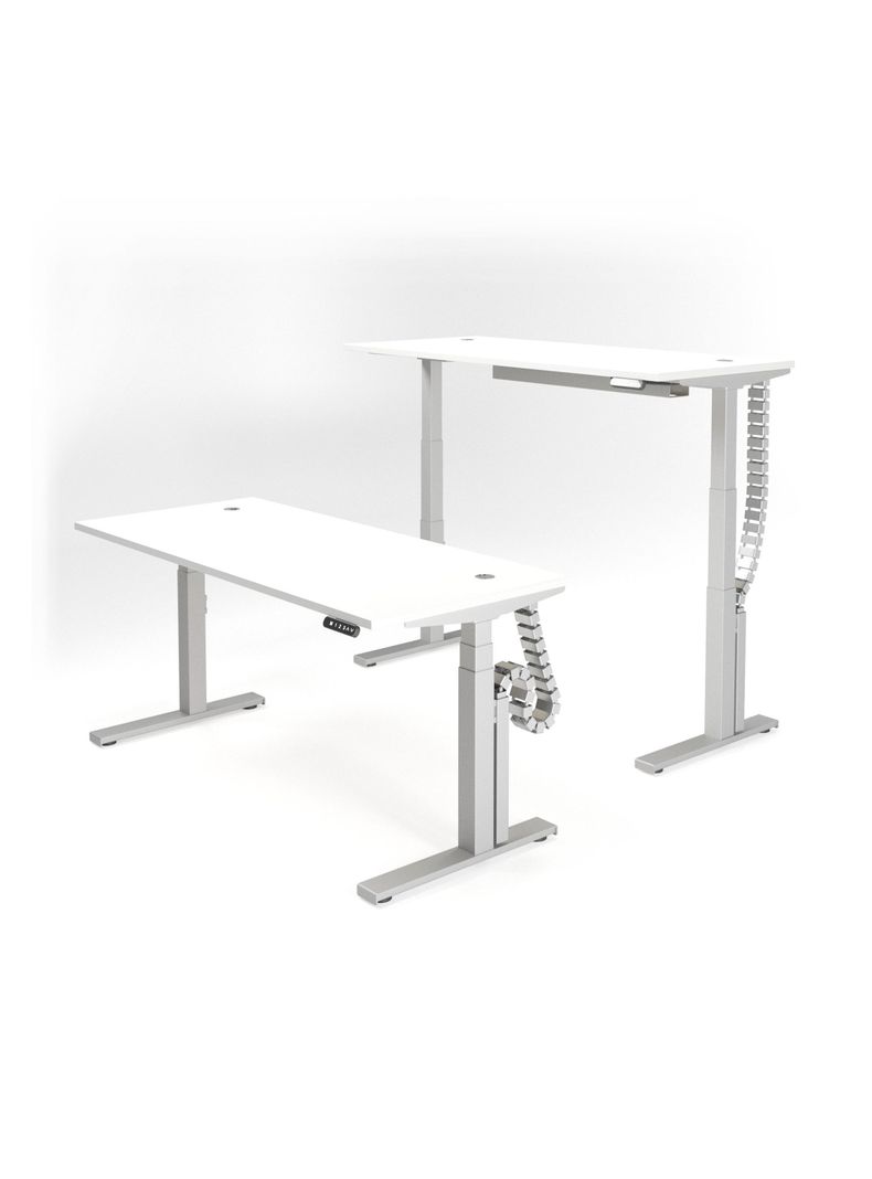 Escritorio Eléctrico Standing Desk 160x70cm AE-2