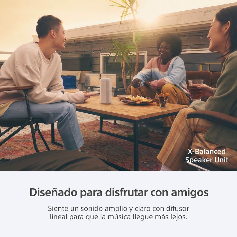 Parlante inalámbrico portátil XE300 de la serie X Gris-1