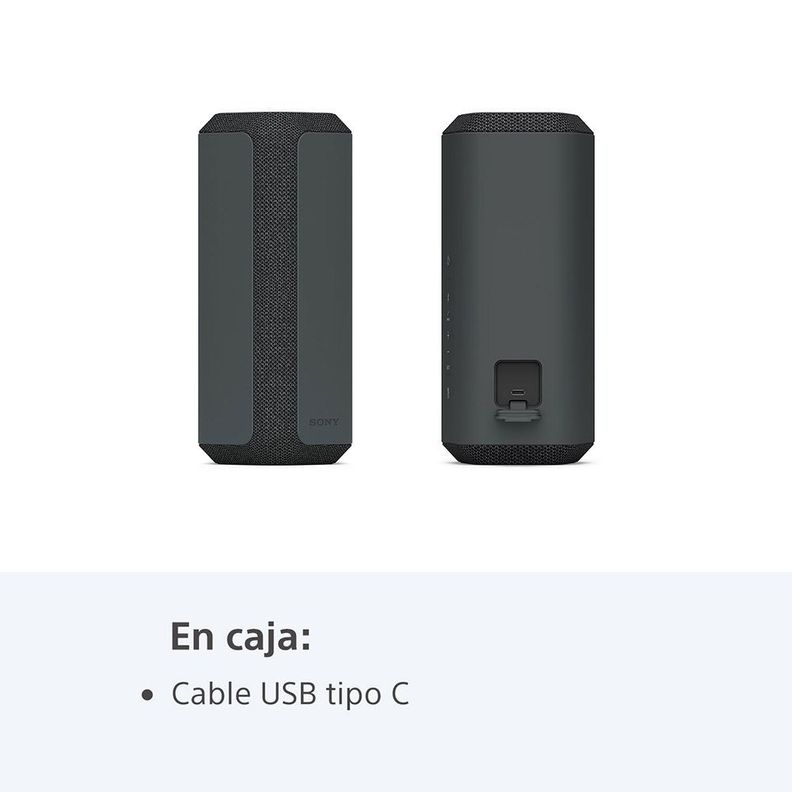 Parlante inalámbrico portátil XE300 de la serie X Gris-5
