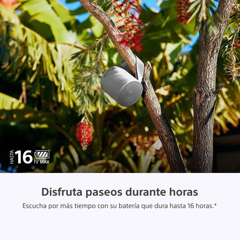 Parlante inalámbrico portátil XB100 Gris-4