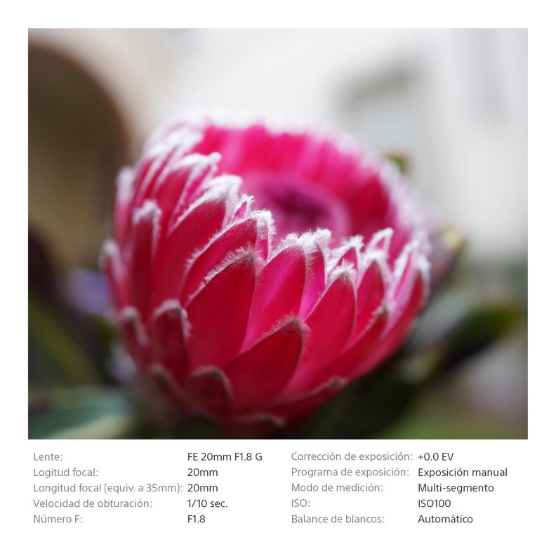 Lente Montura E SEL20F18G-5