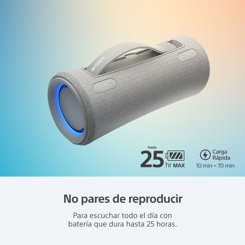 Parlante inalámbrico portátil XG300 de la serie X Gris-1