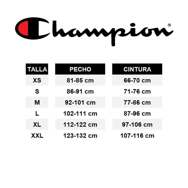 Poleron Hombre Hoodie Champion Gris-5