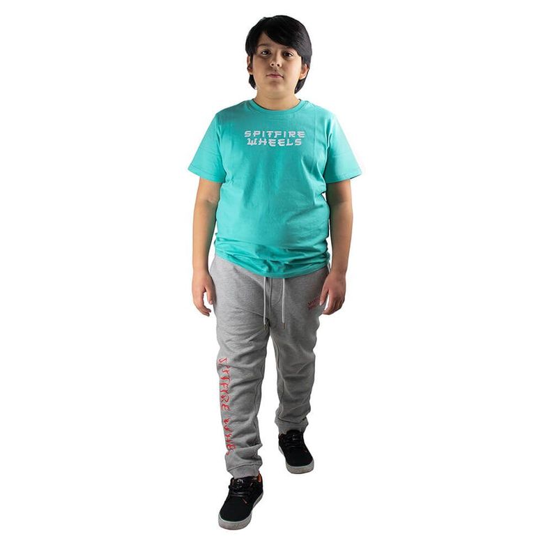 Pantalon De Buzo Jogger Niño Juvenil Btr Gris Spitfire-4