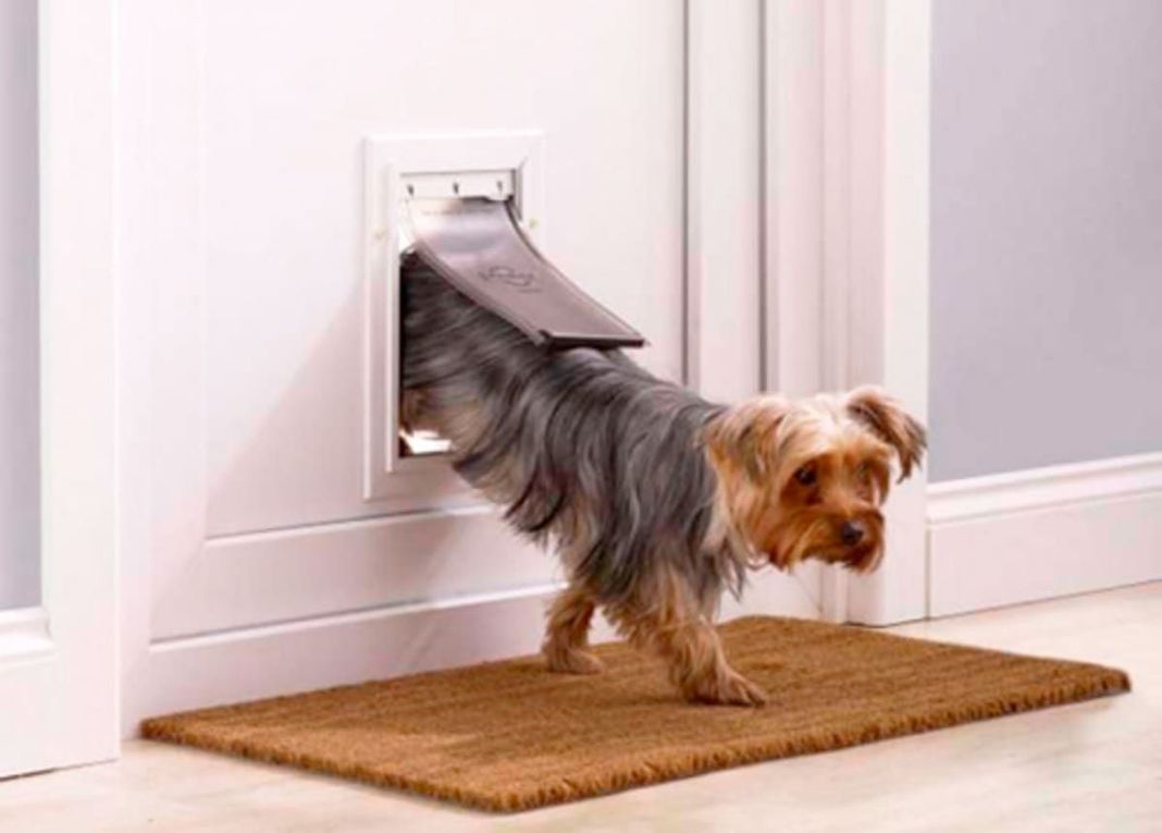 Puerta Abatible para perros Small-1