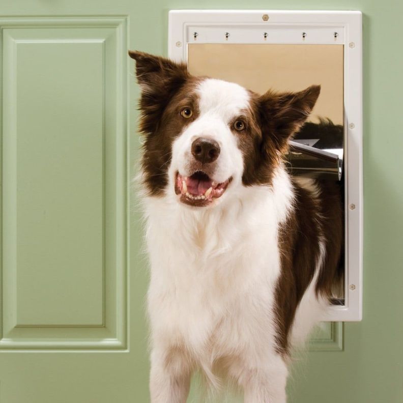 Puerta Abatible para perros Large-1