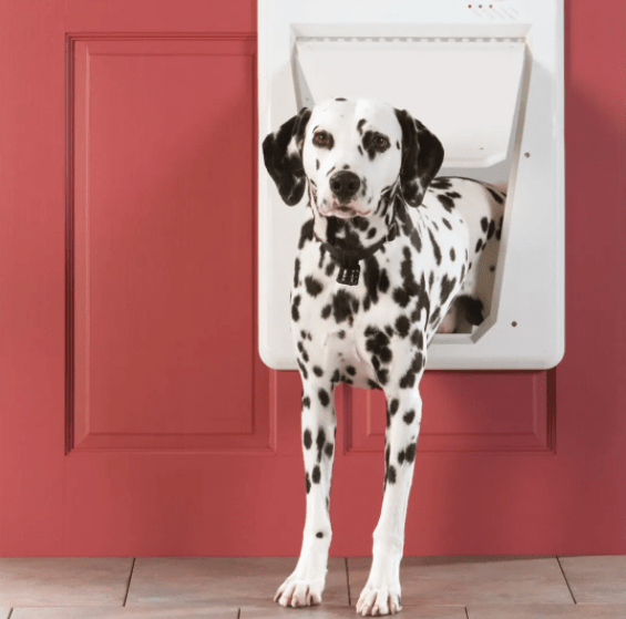 Puerta para Perros con Chip Smartdoor-1