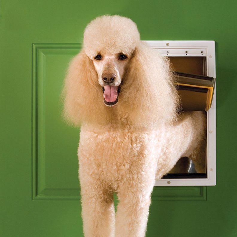 Puerta perro Large para Climas Extremos PetSafe-1