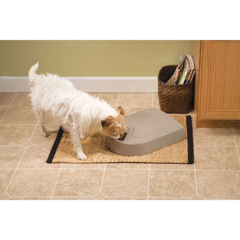 Comedero Digital Automático 5 raciones PetSafe-2