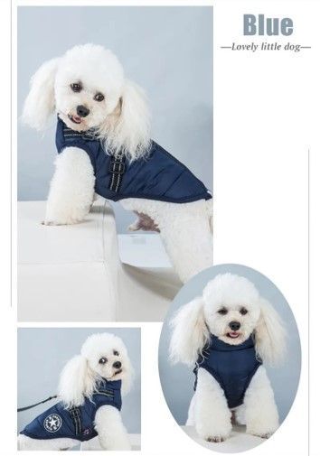 Parka Chaqueta Impermeable Talla S Perro Azul-1