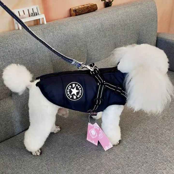 Parka Chaqueta Impermeable Talla S Perro Azul-2