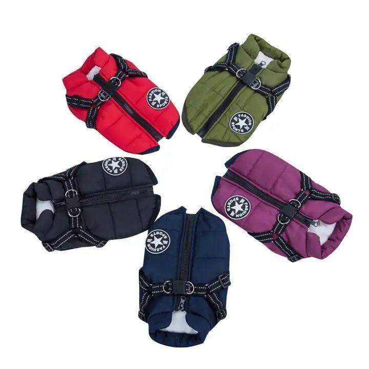Parka Chaqueta Impermeable Talla S Perro Azul-5