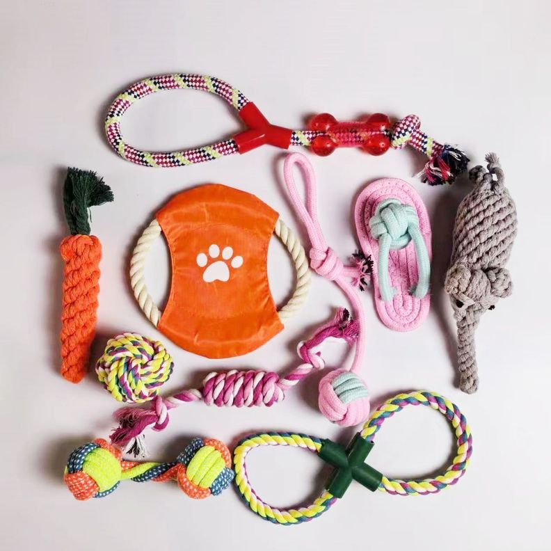 Set 10 Juguetes Mascotas Perro Bola, Cuerdas, Nudos, Raton