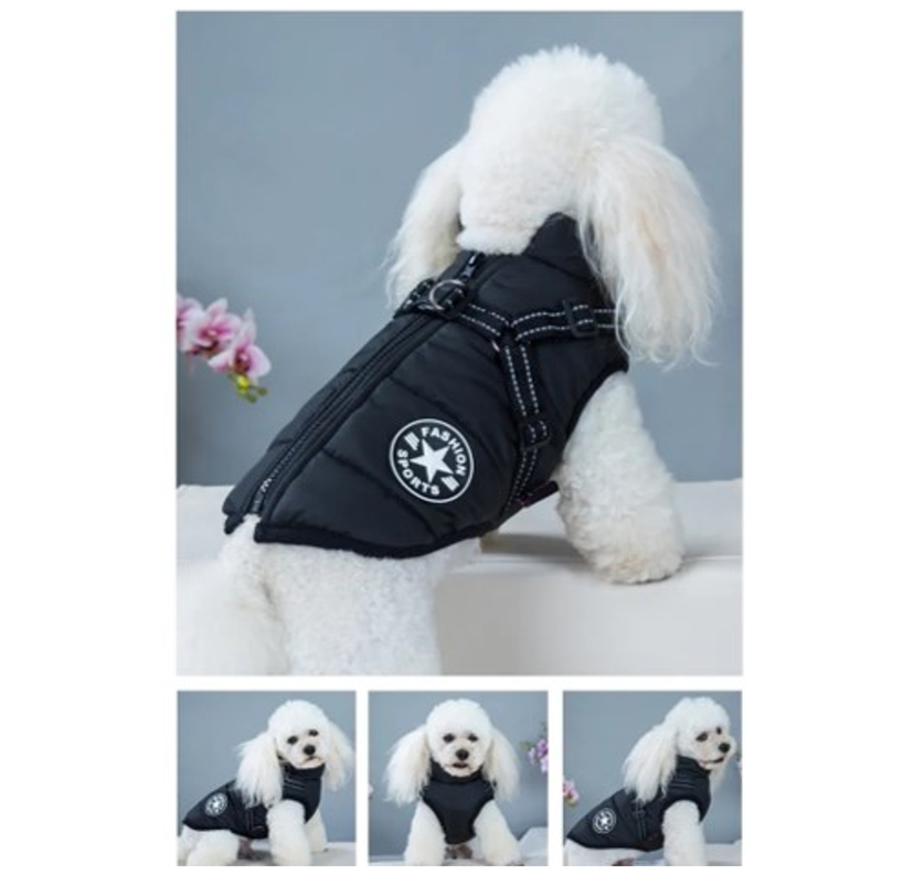 Parka Chaqueta Impermeable Talla L Perro Negro-1