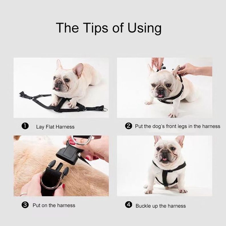 Arnés y Cuerda Reflectantes para Mascotas Perro-3