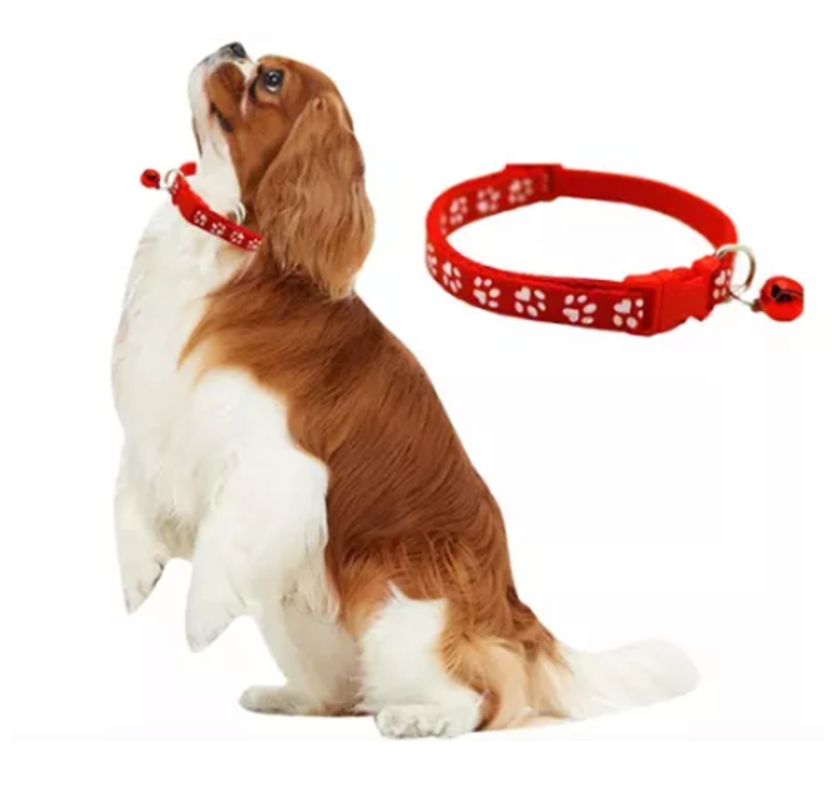 Pack De 3 Collares Con Cascabel Para Mascotas Gatos Perros Azul Eléctrico/Rojo/Azul Claro-3