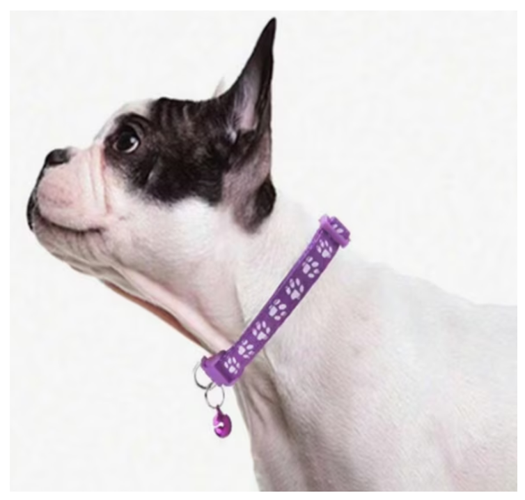 Pack De 3 Collares Con Cascabel Para Mascotas Gatos Perros Azul Eléctrico/Rojo/Azul Claro-4