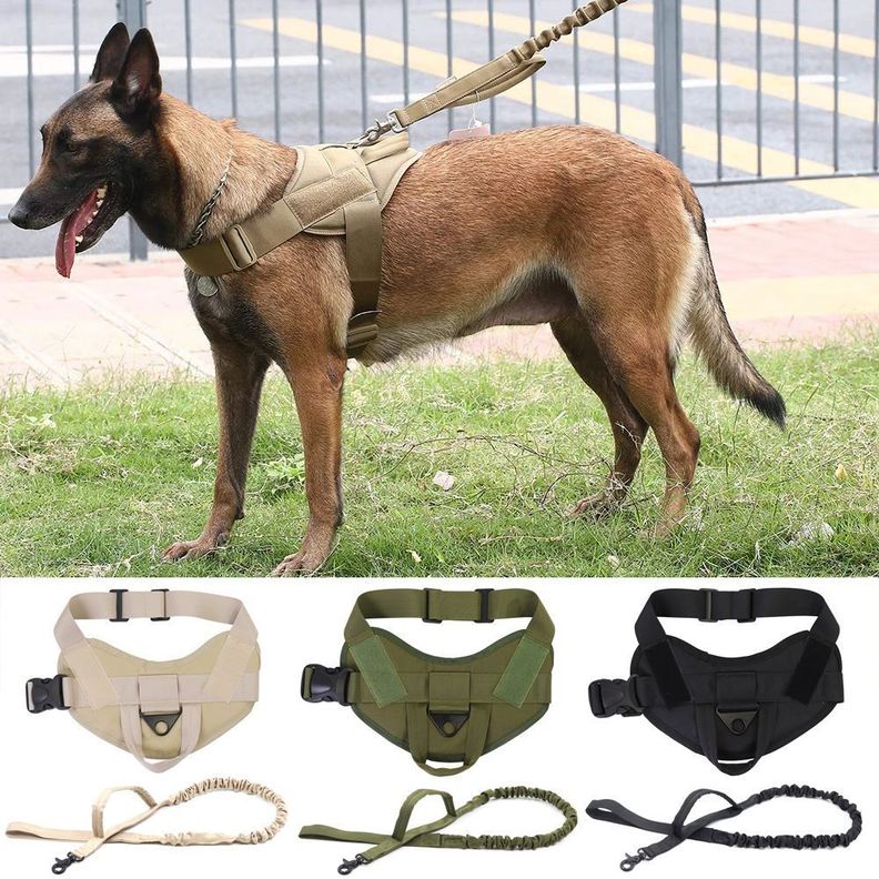 Arnés Táctico de Lanzamiento Verde Talla L con Cuerda Perro-1