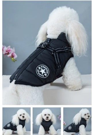 Parka Chaqueta Impermeable Talla S Perro Negro-1