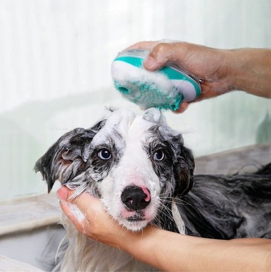 Cepillo para Baño Multifuncional para Mascotas Perros Gatos-2
