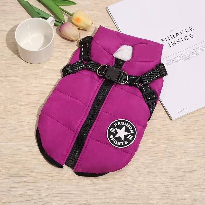 Parka Chaqueta Impermeable Talla S Perro Morado-5
