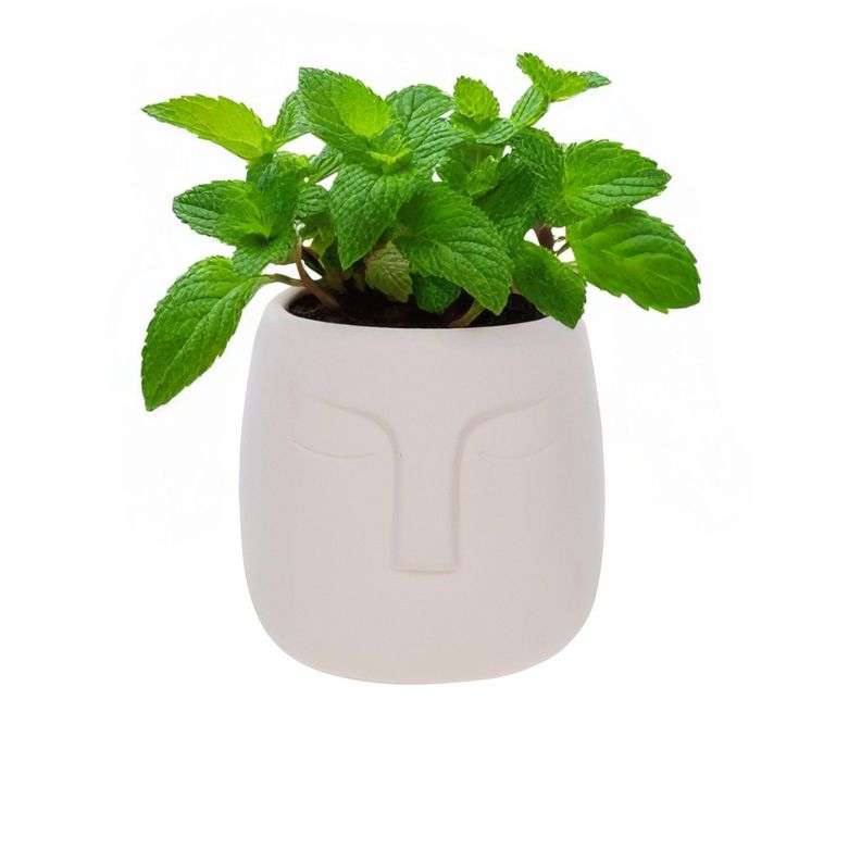 Macetero de cerámica Beige 14 cm-2