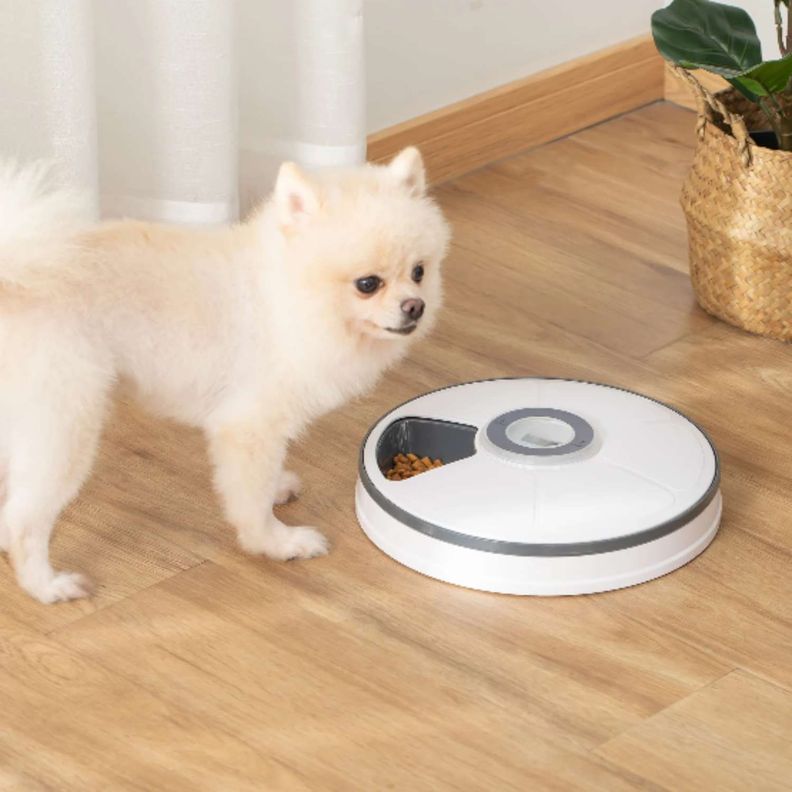 Dispensador automático de alimento para perros y gatos-3
