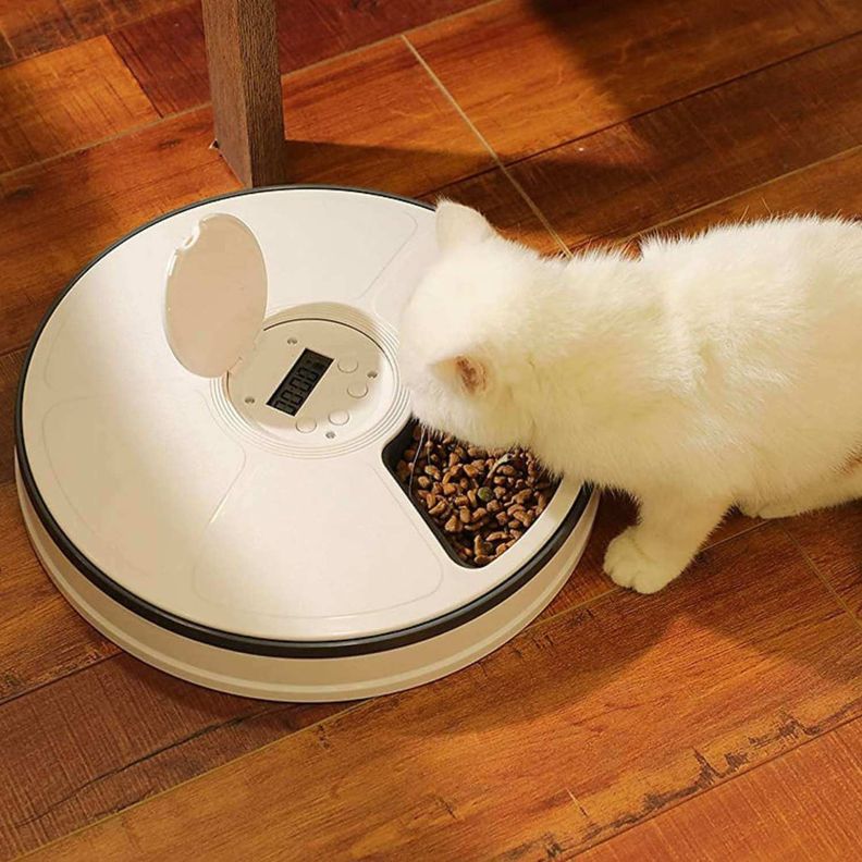 Dispensador automático de alimento para perros y gatos-5