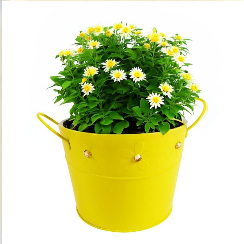 Balde de latón amarillo con gemas-0