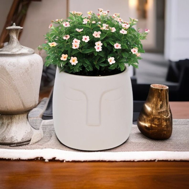Macetero de cerámica Beige 12 cm-2