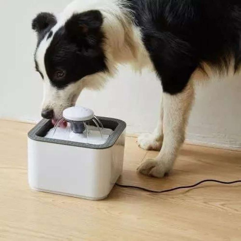 Bebedero automático para perros y gatos-3