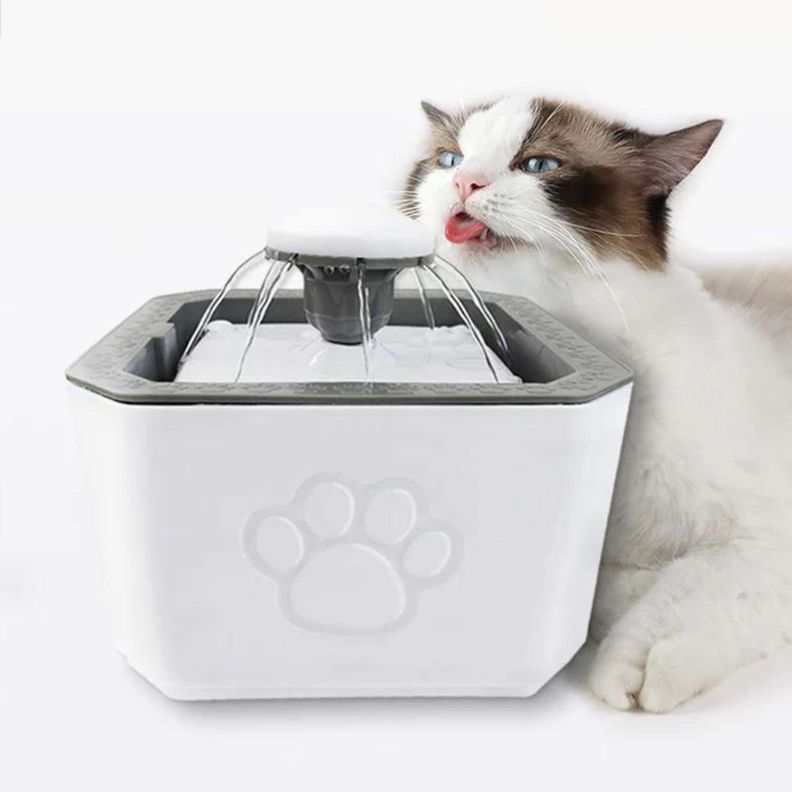 Bebedero automático para perros y gatos-4
